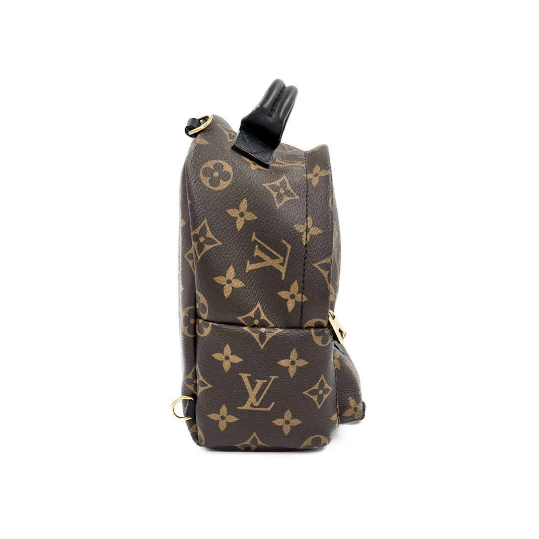 Louis Vuitton Monogram Palm Springs Mini