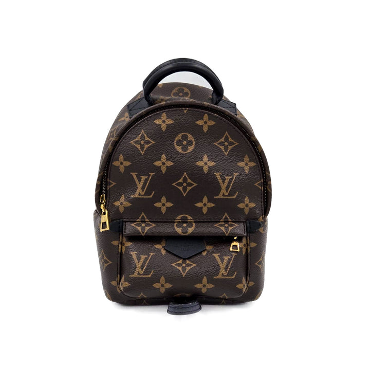 Louis Vuitton Monogram Palm Springs Mini