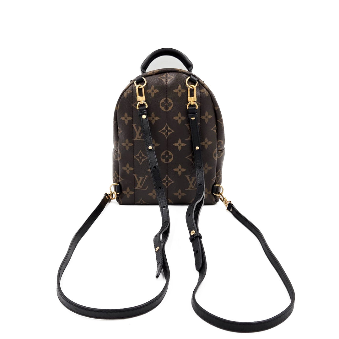 Louis Vuitton Monogram Palm Springs Mini