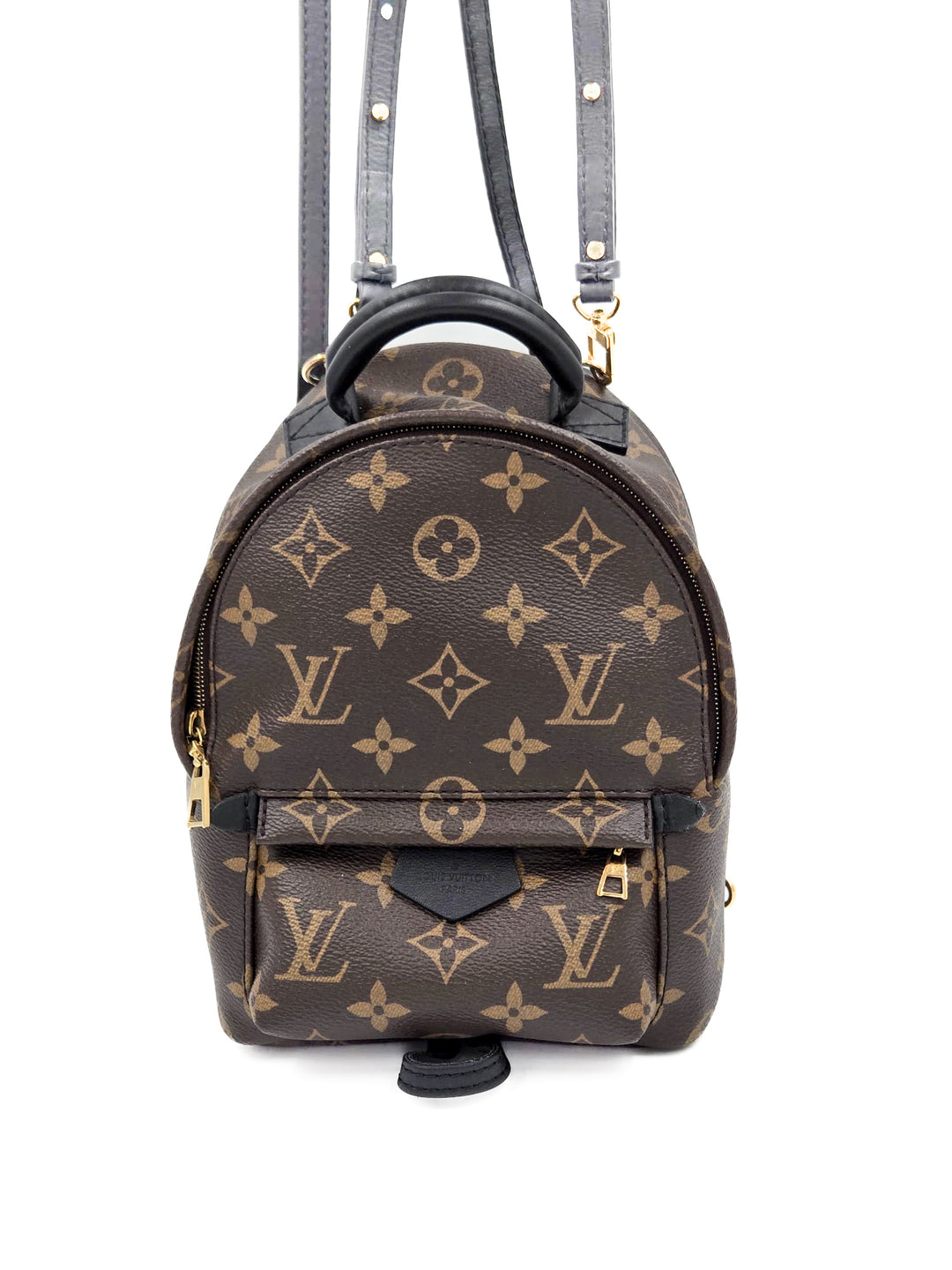 Louis Vuitton Monogram Palm Springs Mini