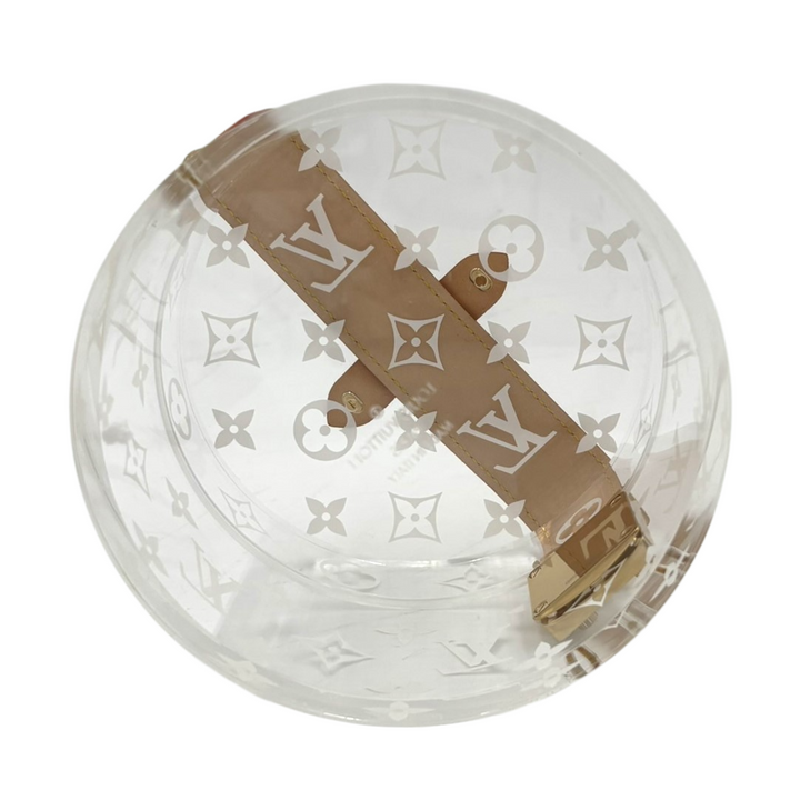 Louis Vuitton Plexiglass Scott Box