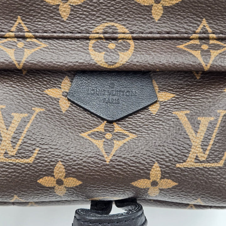 Louis Vuitton Monogram Palm Springs Mini