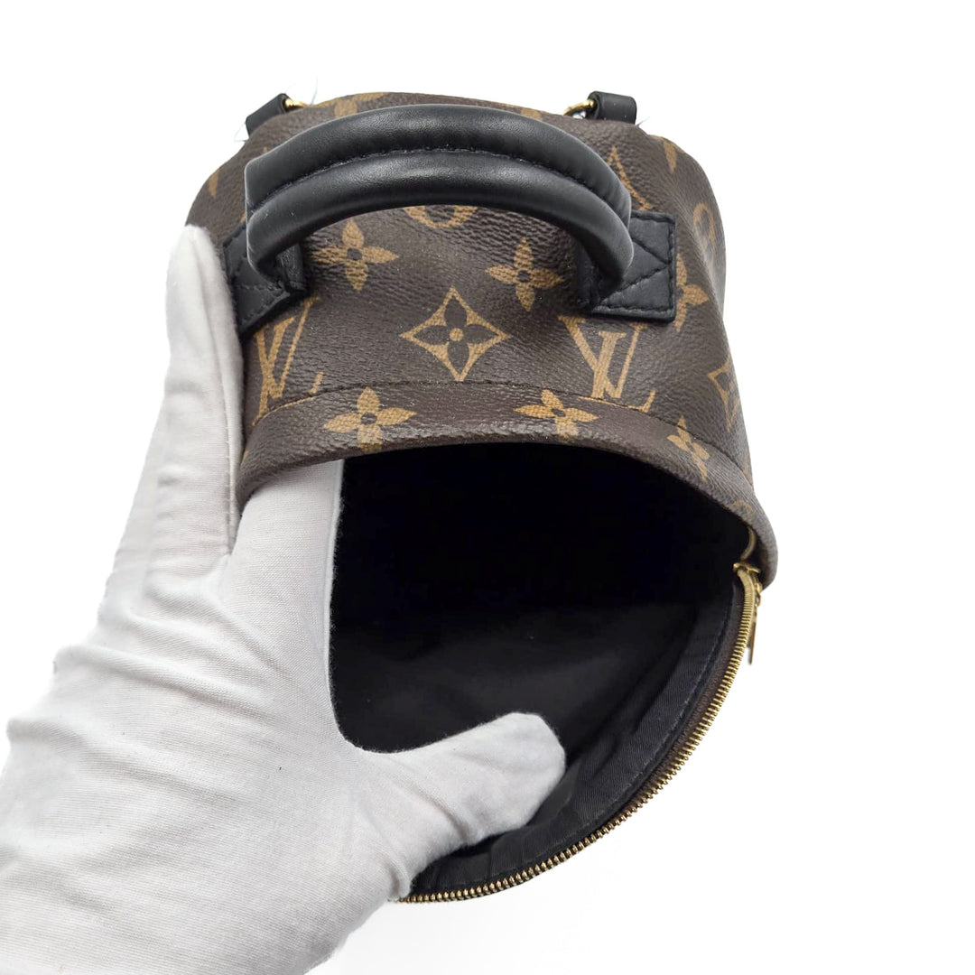 Louis Vuitton Monogram Palm Springs Mini