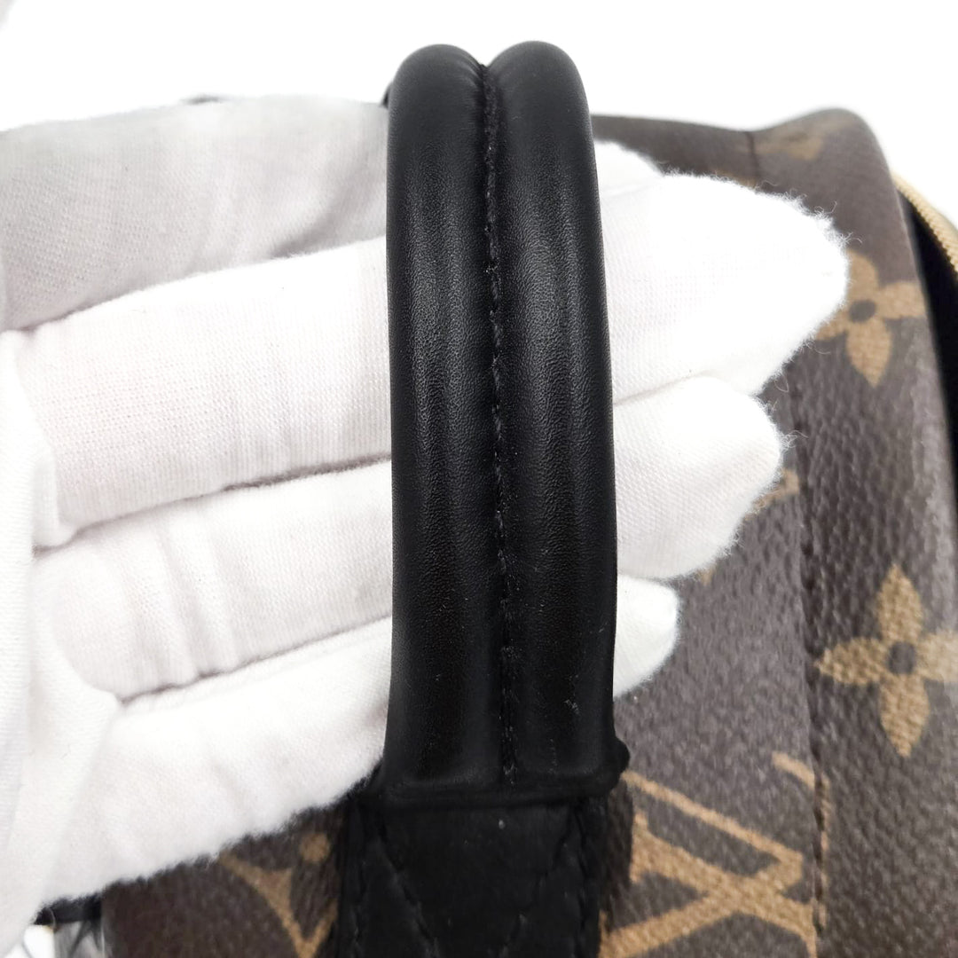 Louis Vuitton Monogram Palm Springs Mini