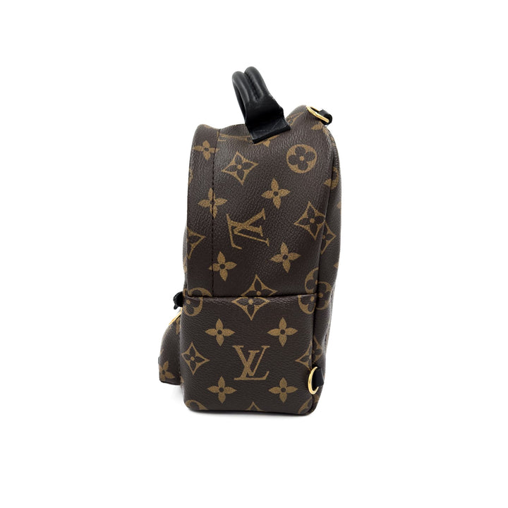 Louis Vuitton Monogram Palm Springs Mini